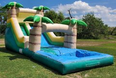 18ft palm island Water slide